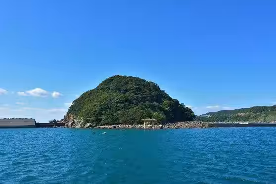 画像5