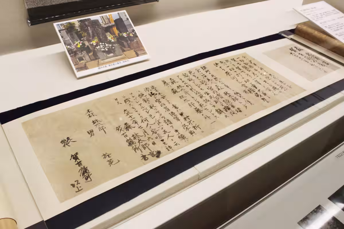 画像7