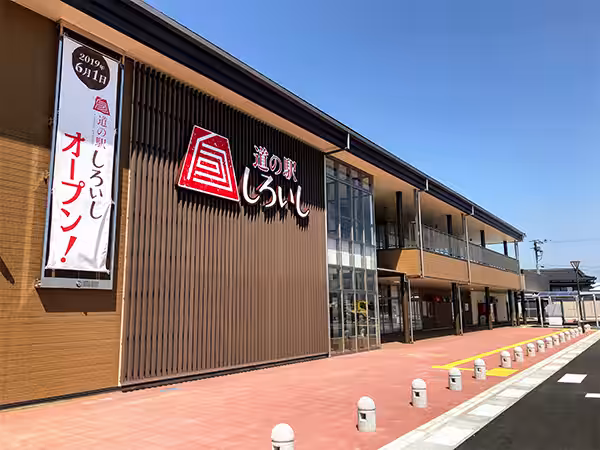 画像7