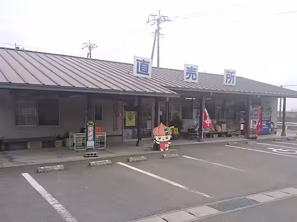 画像8