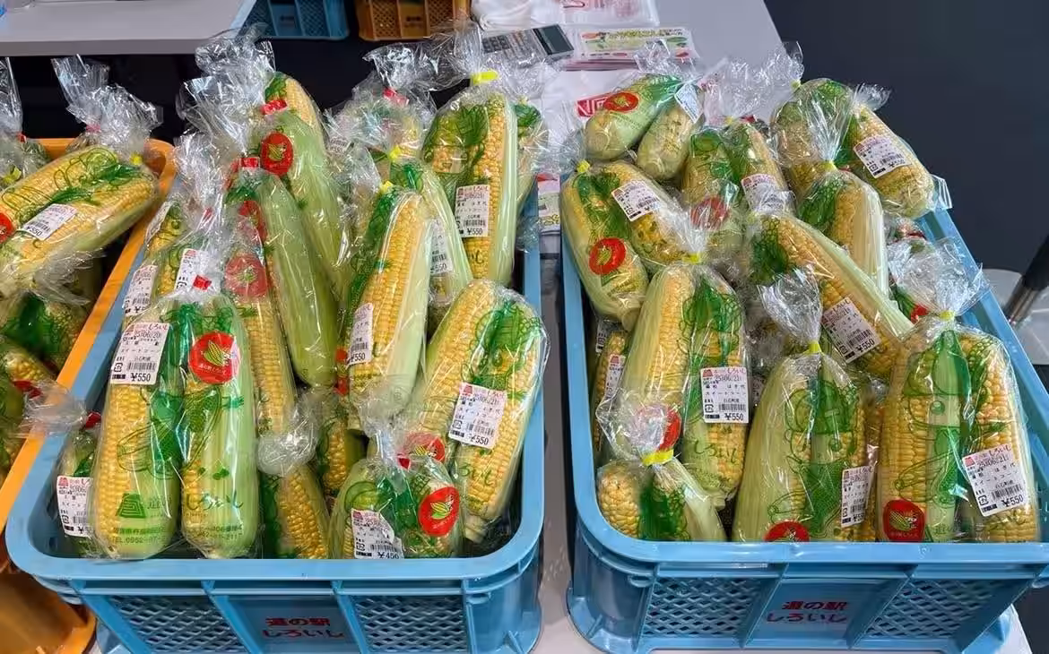 画像3
