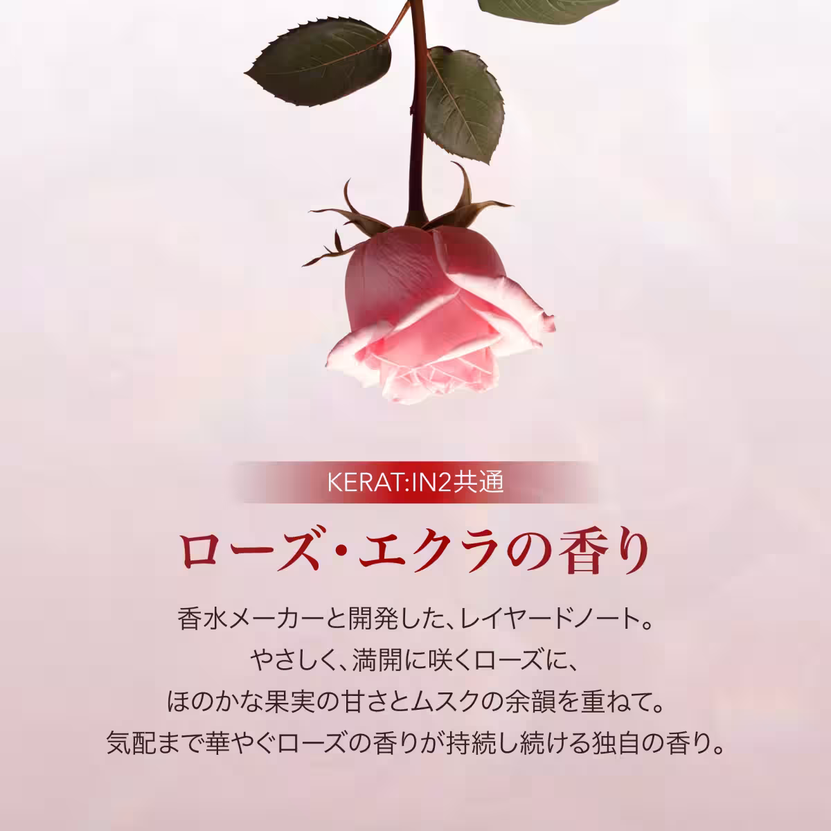 画像12