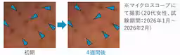 画像14