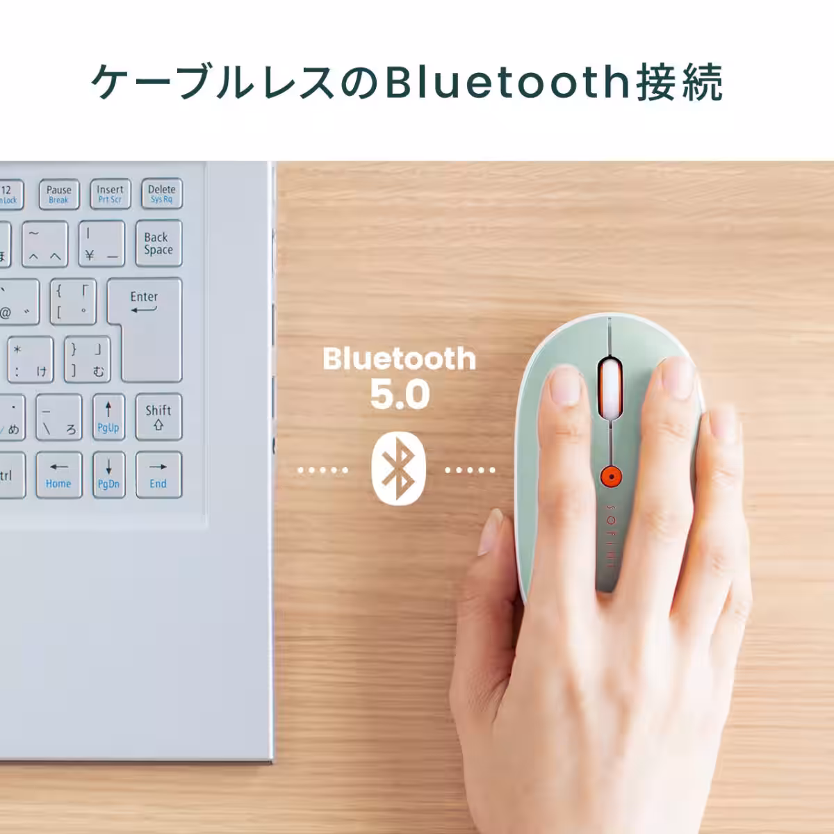 画像8