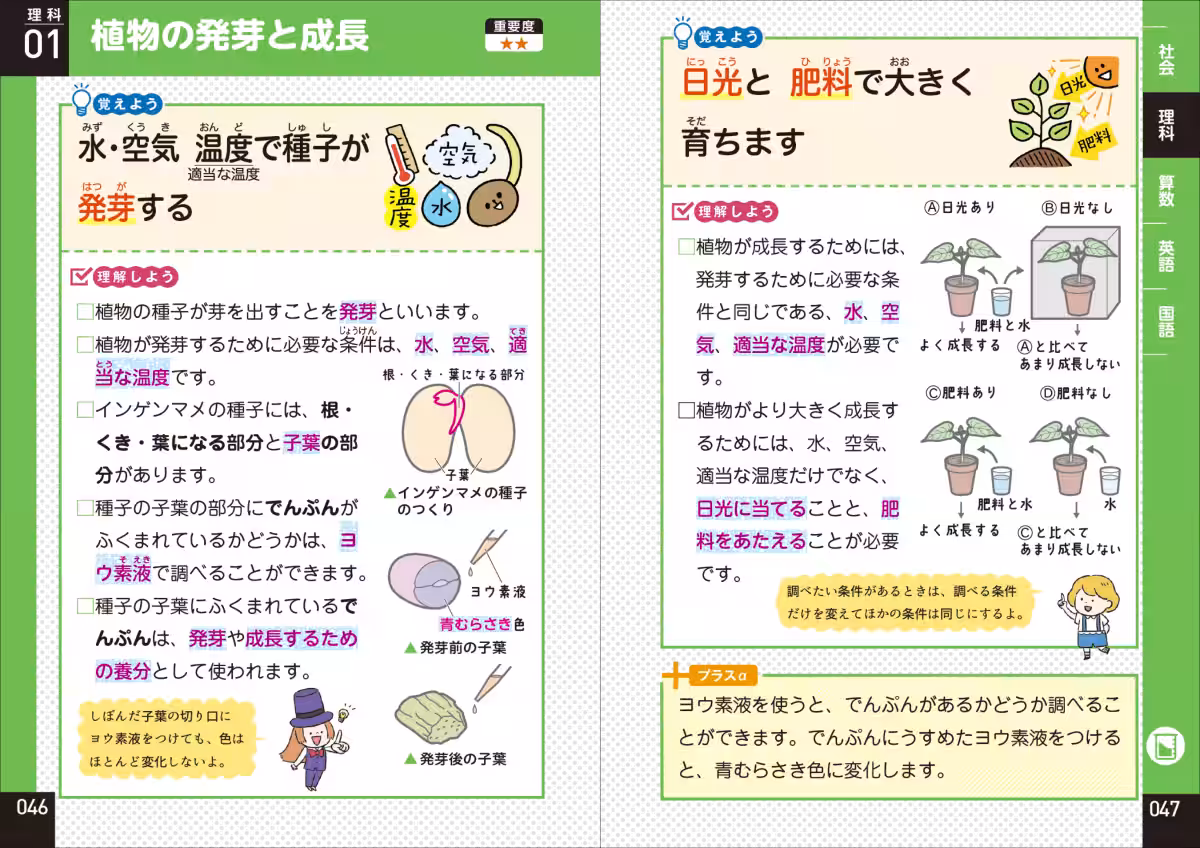 画像9