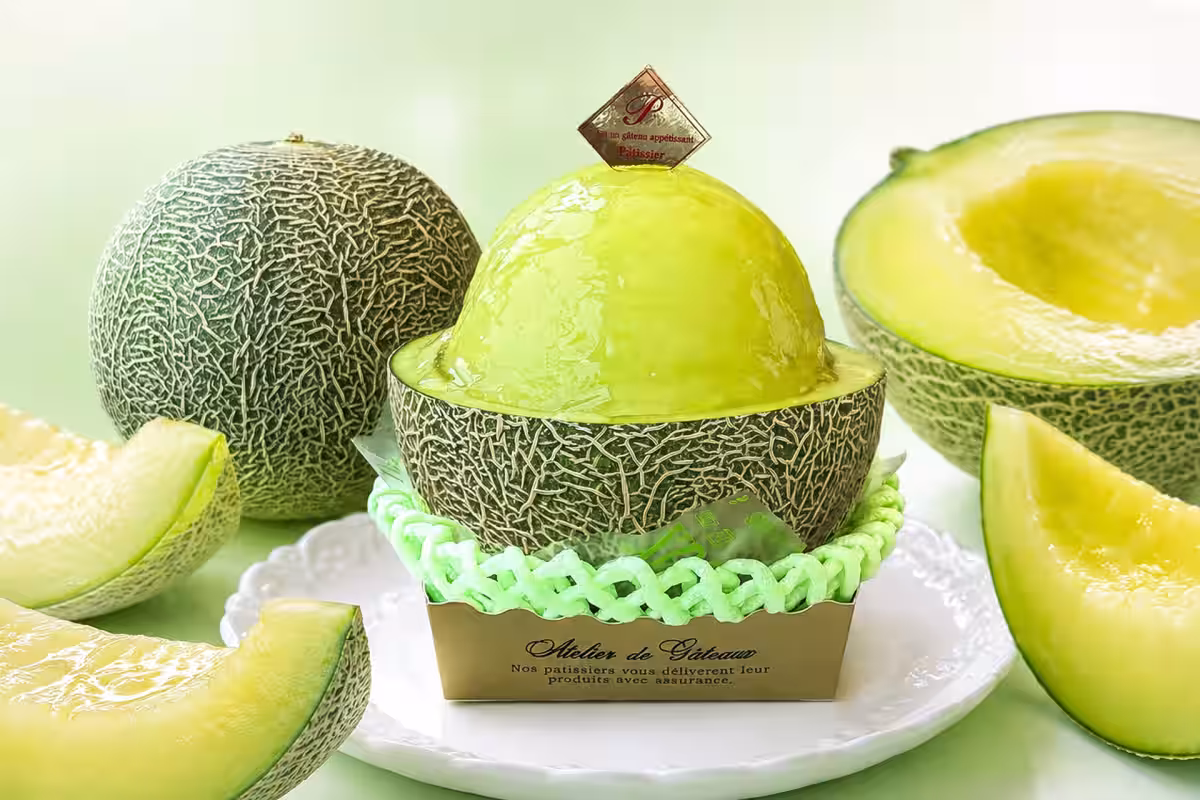 画像15
