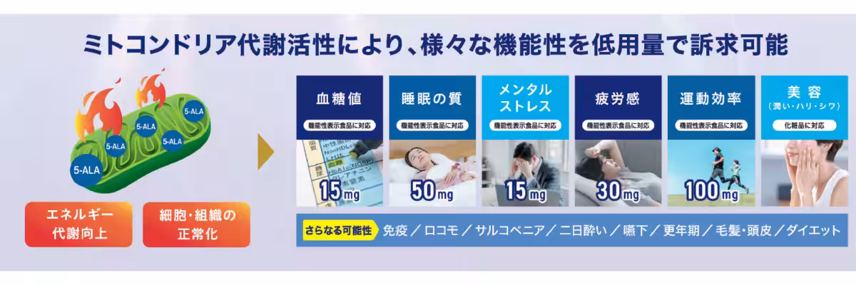 画像11