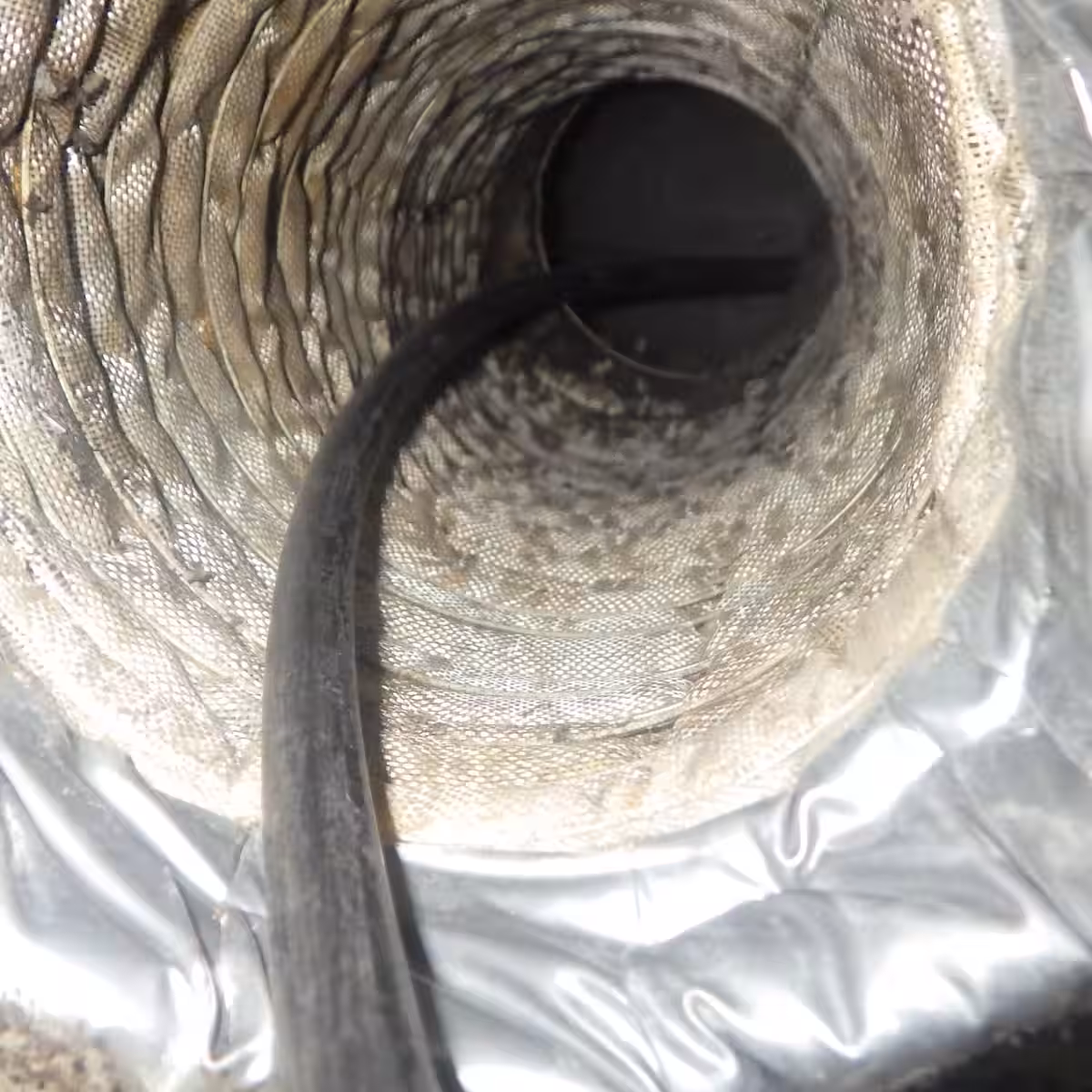 画像11