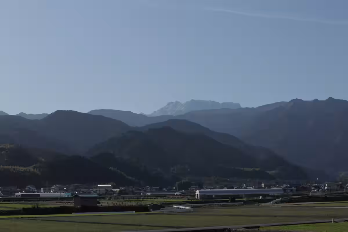 画像11