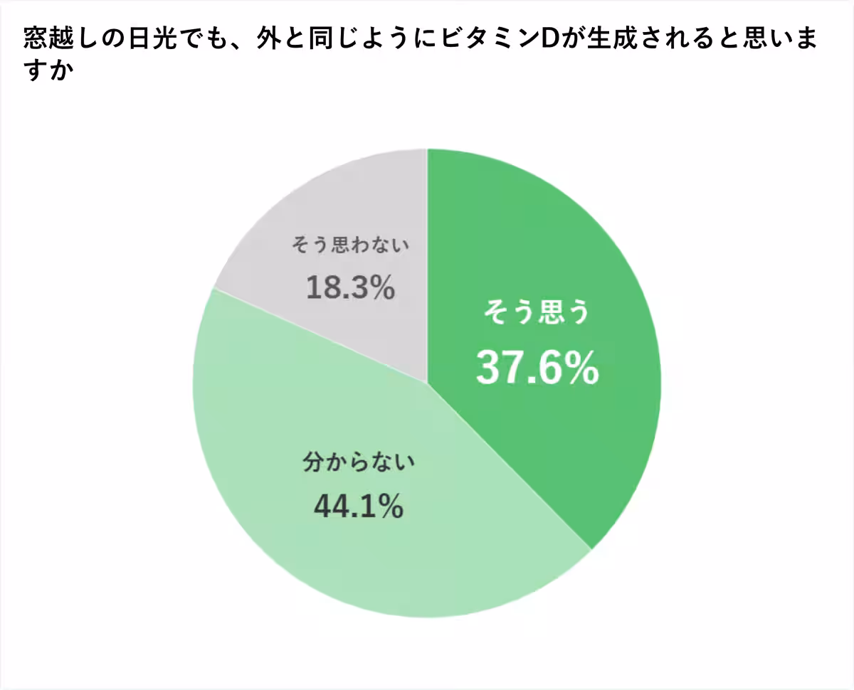 画像17