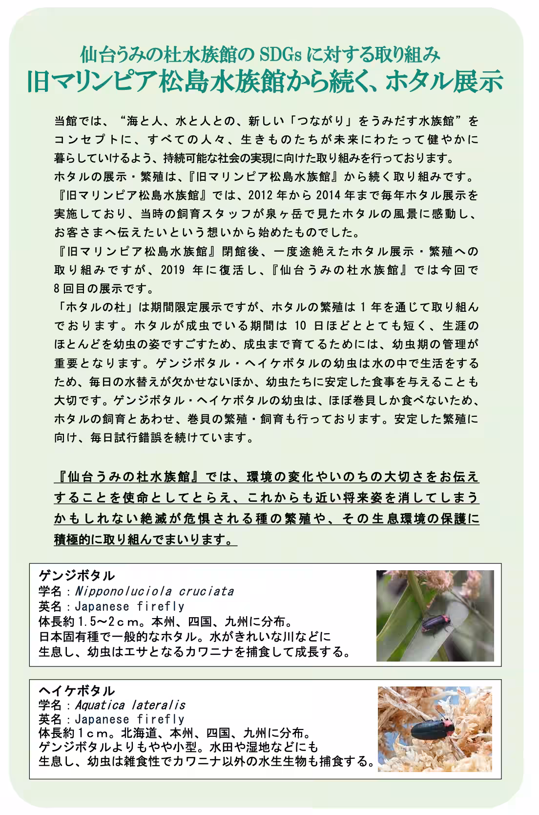画像14