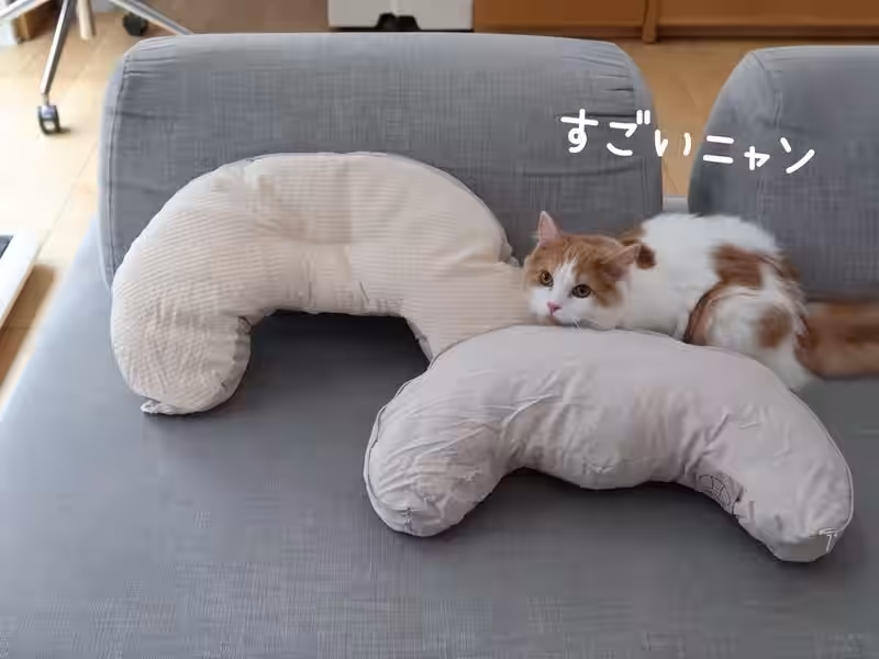 画像15