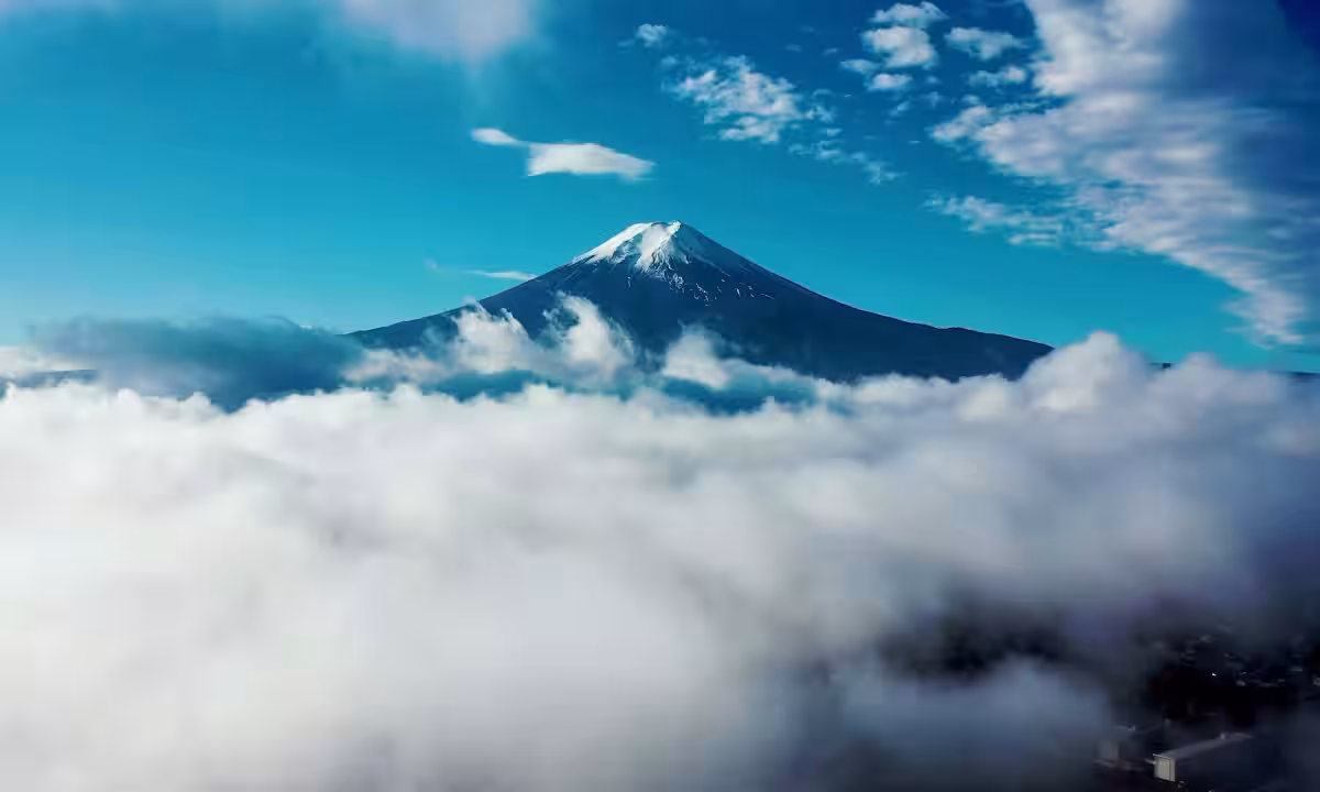 画像12