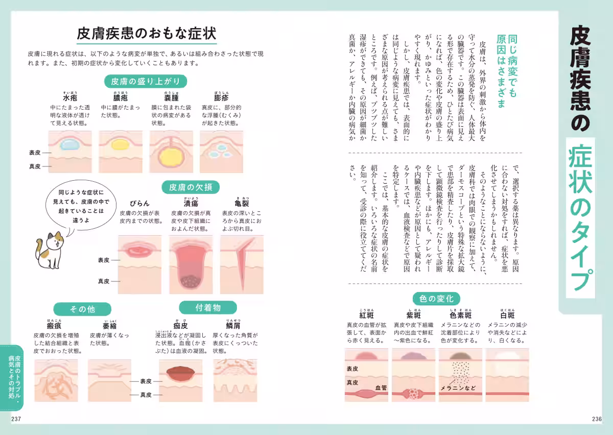 画像16