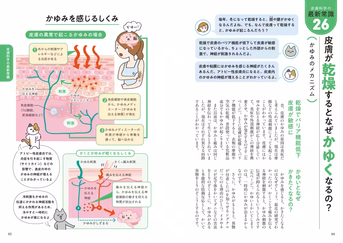 画像9