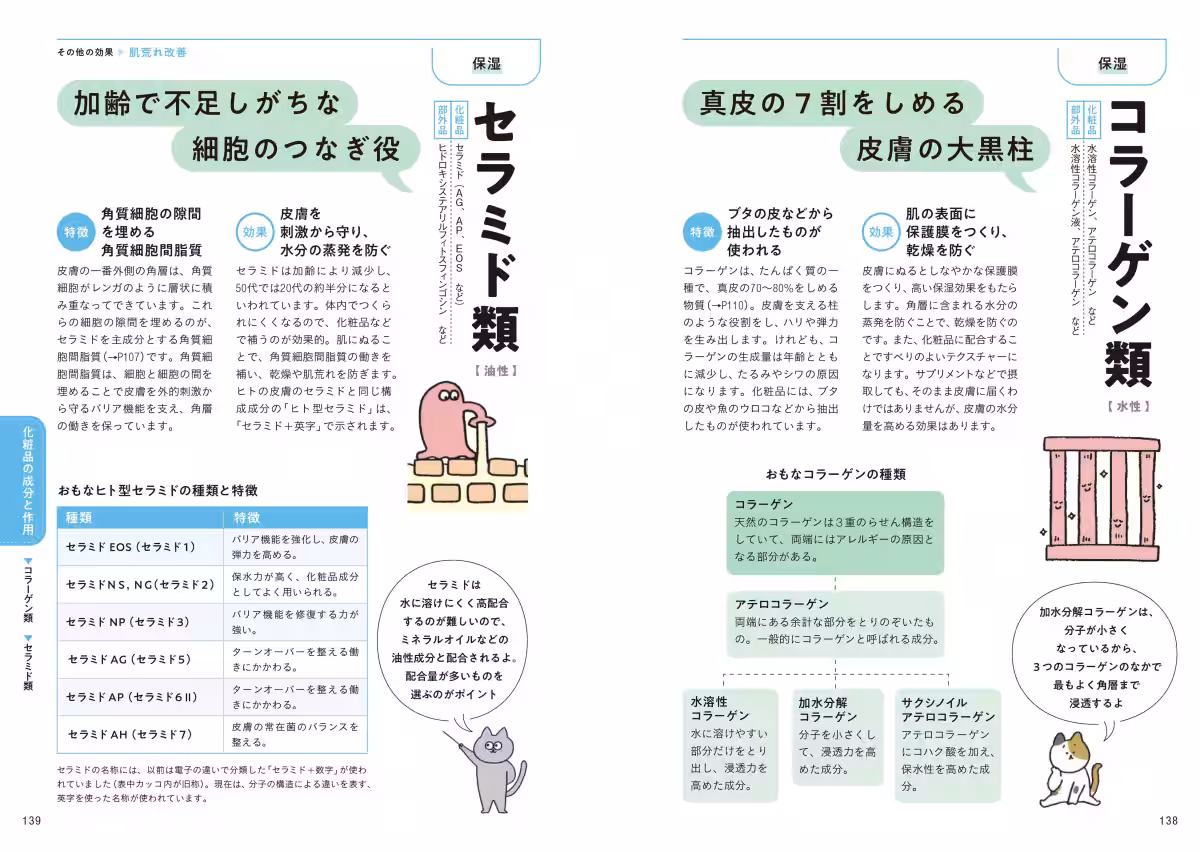 画像12