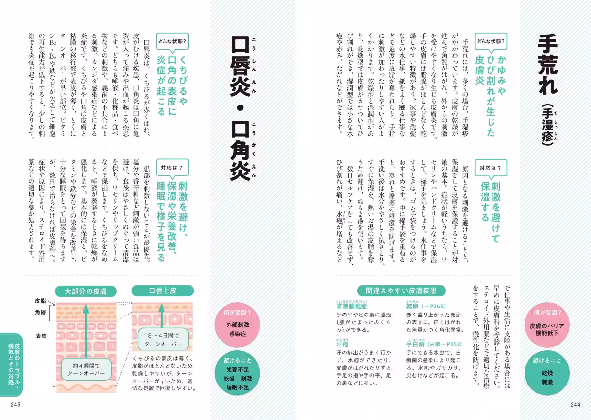 画像17