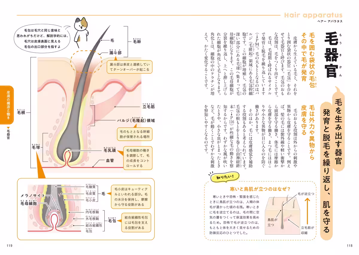 画像11