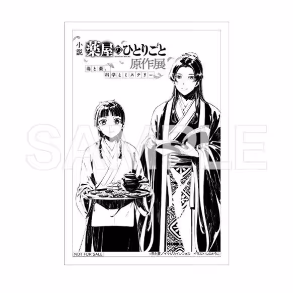 画像12