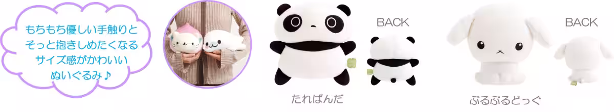 画像14