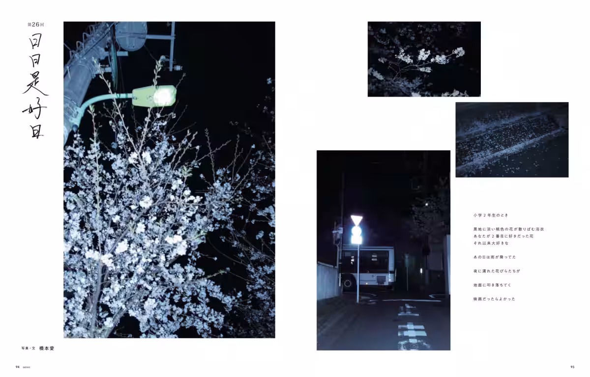 画像12