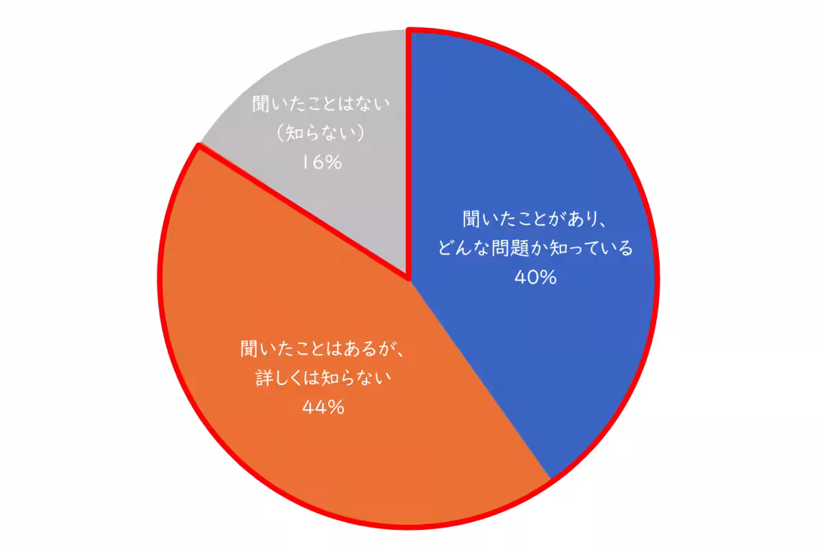 画像13