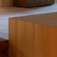 木曽檜の未来を考える
