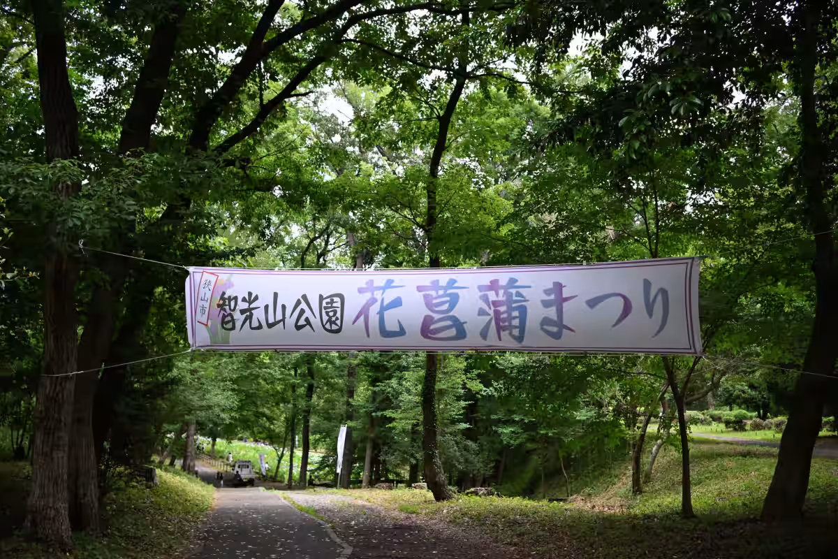 画像8