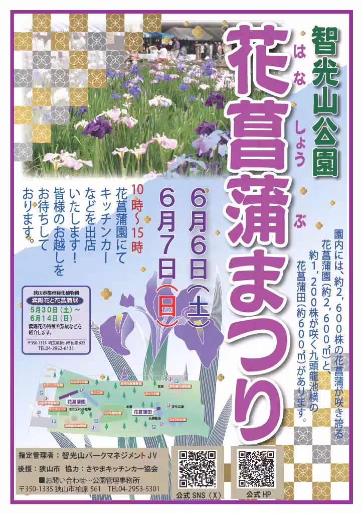 画像12