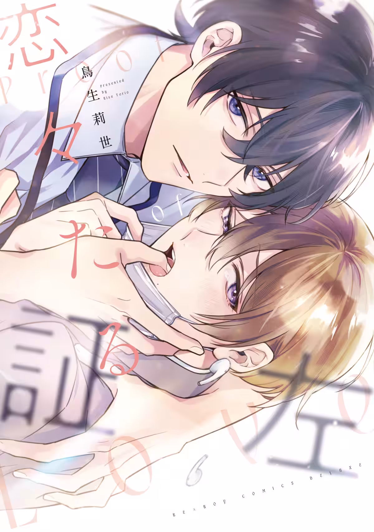 画像6