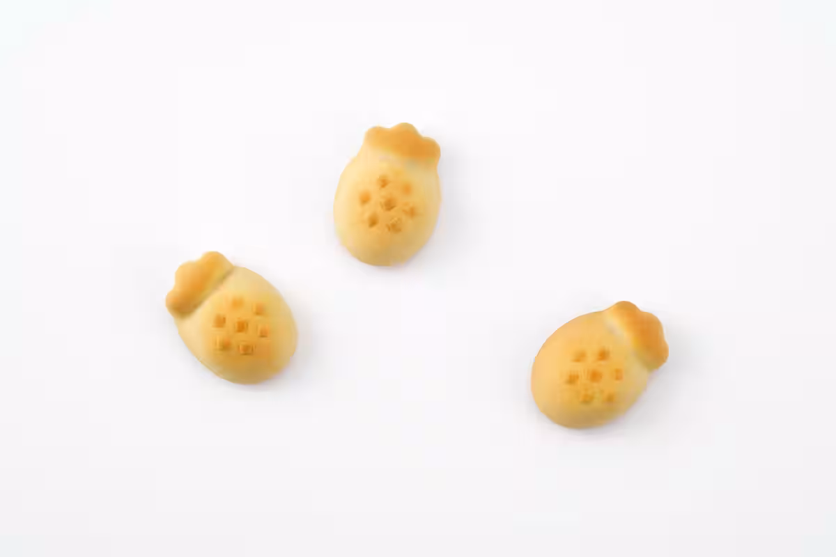画像9