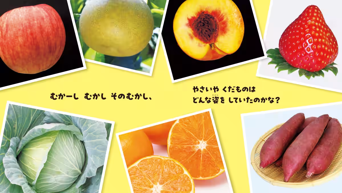 画像4