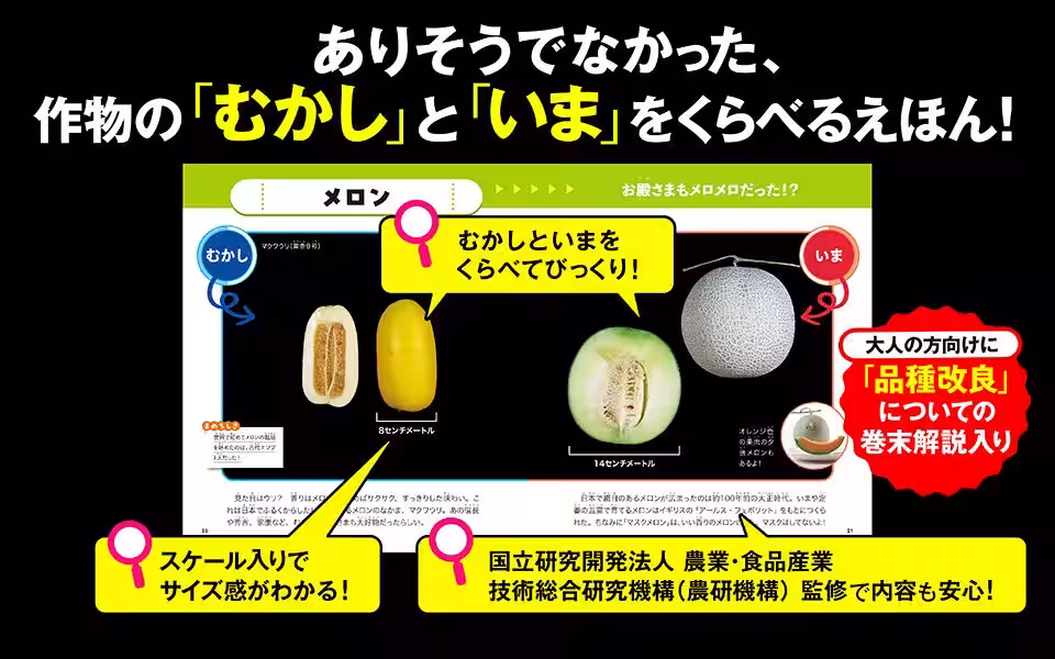 画像7