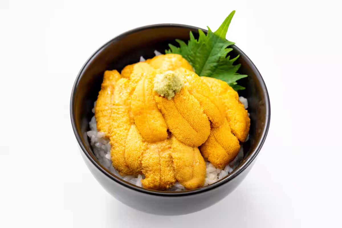 画像14