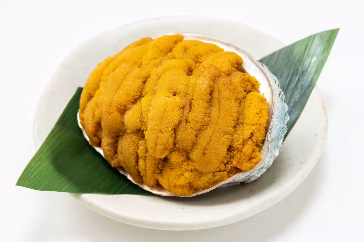 画像20