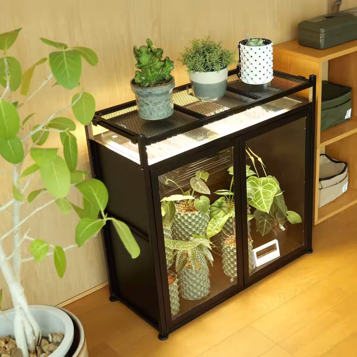 画像9