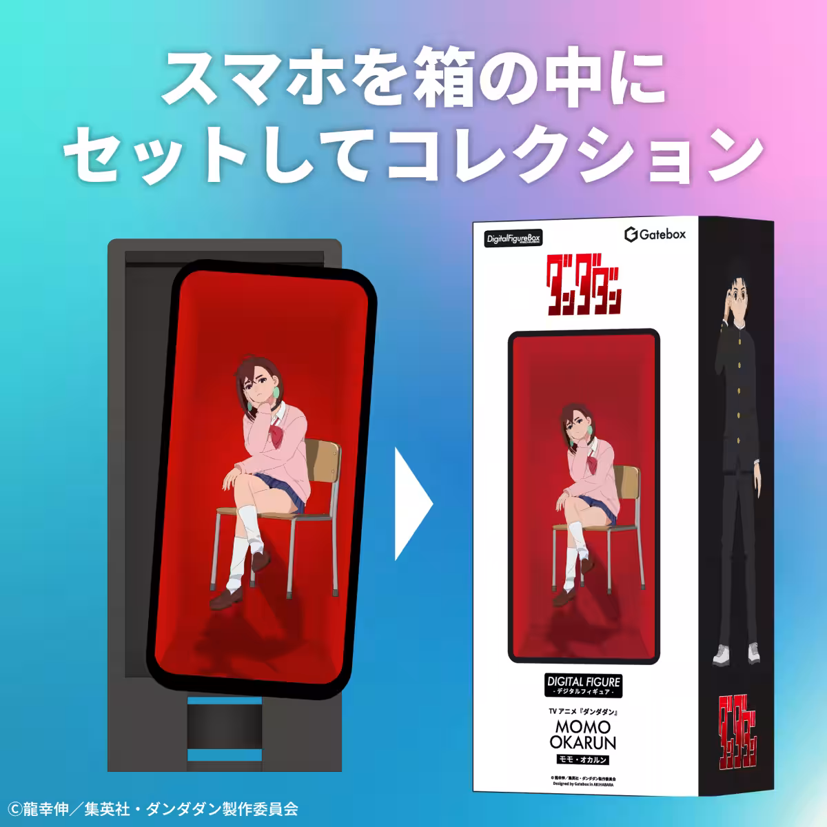 画像5