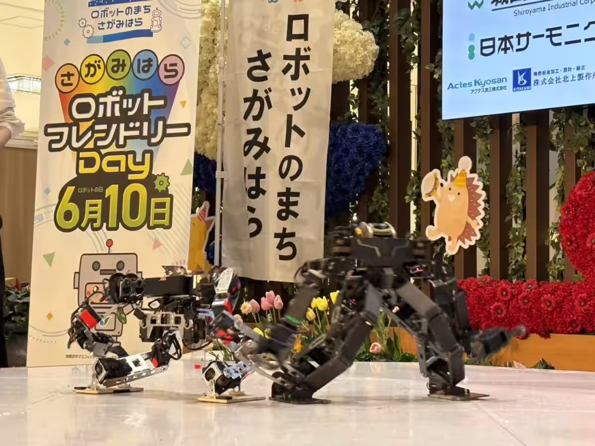 画像6
