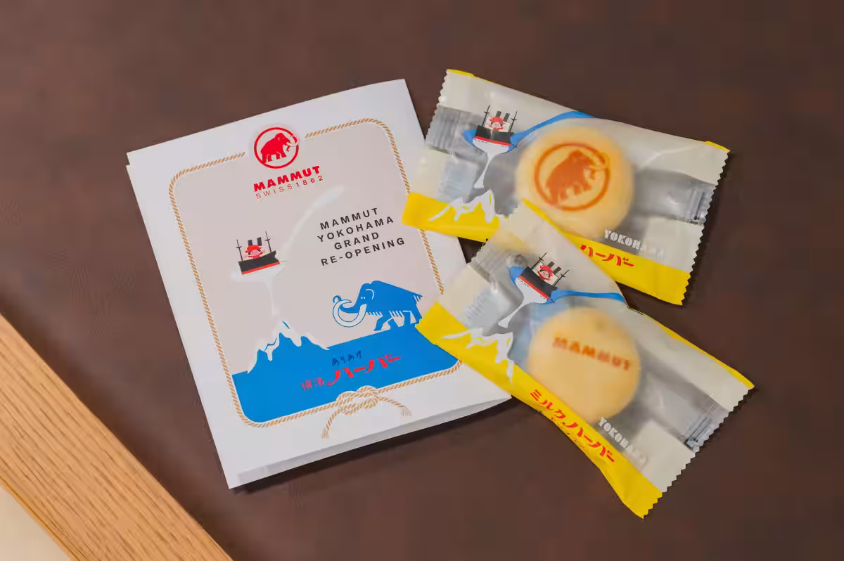 画像5