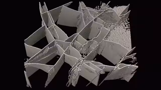画像11