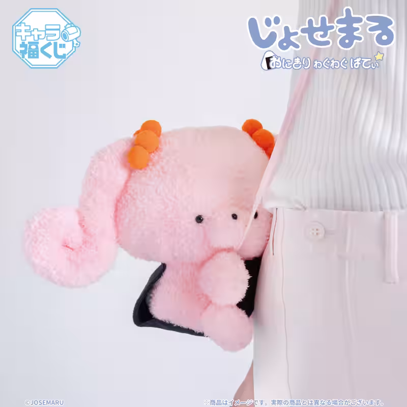 画像7