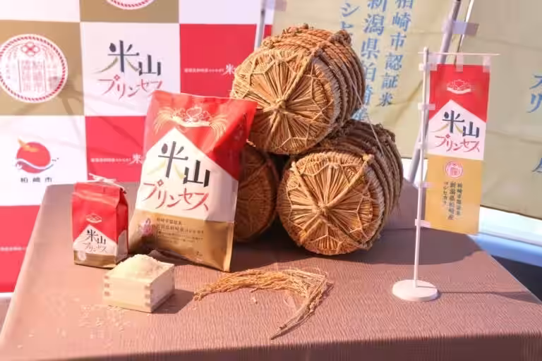 画像11