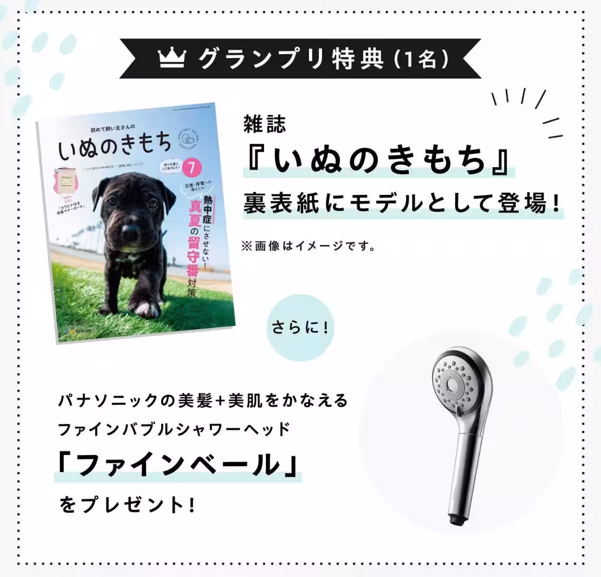 画像10