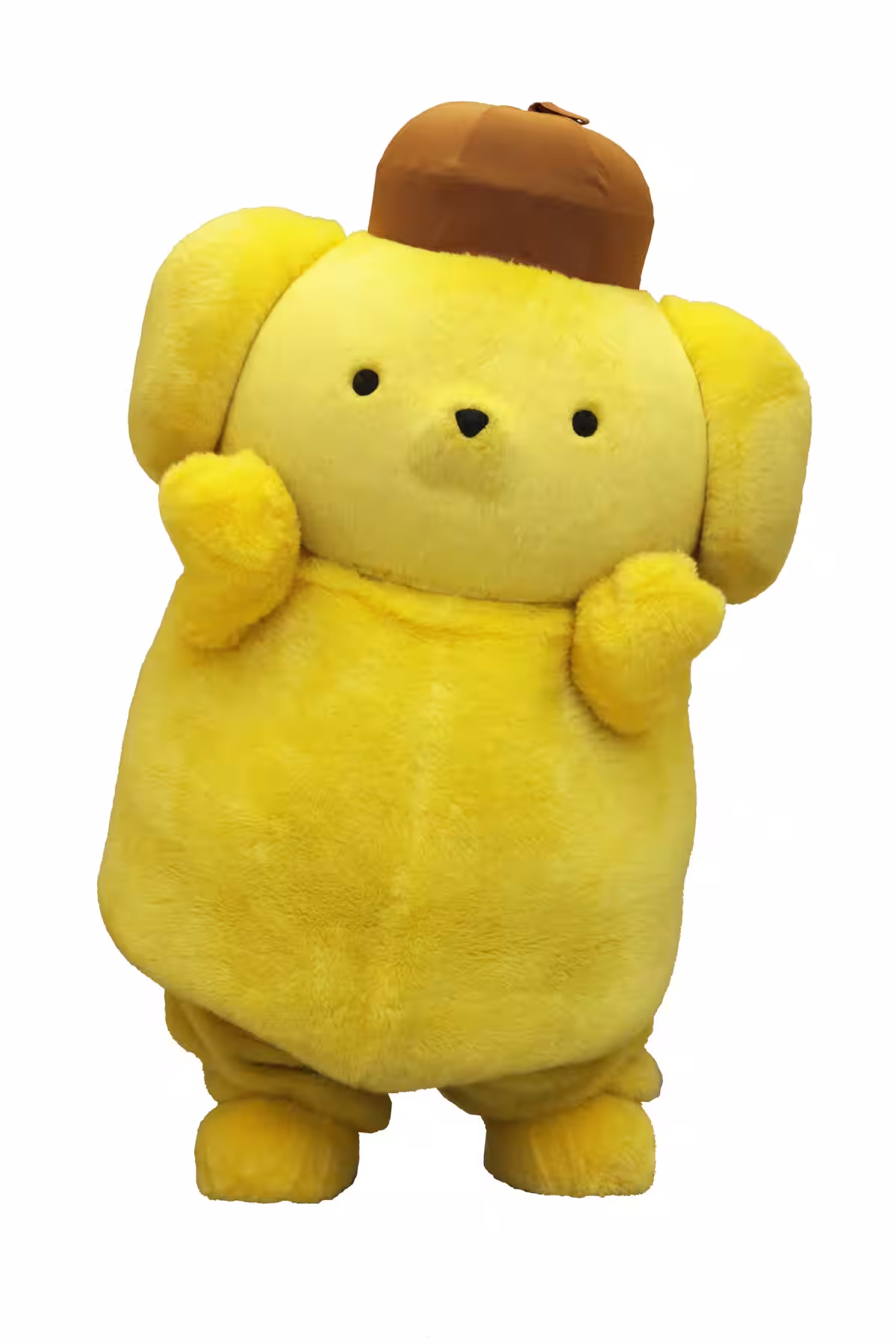 画像15
