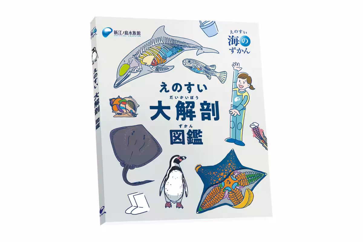 画像12