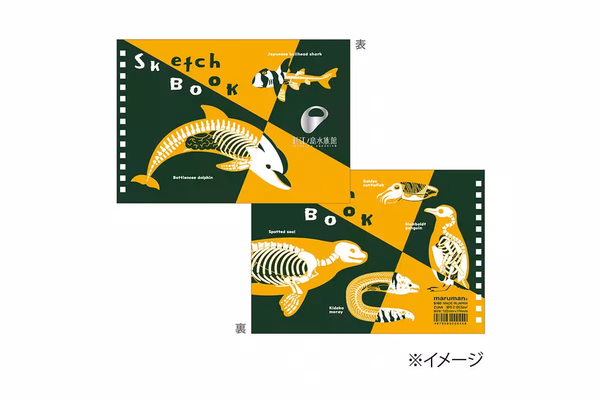 画像15