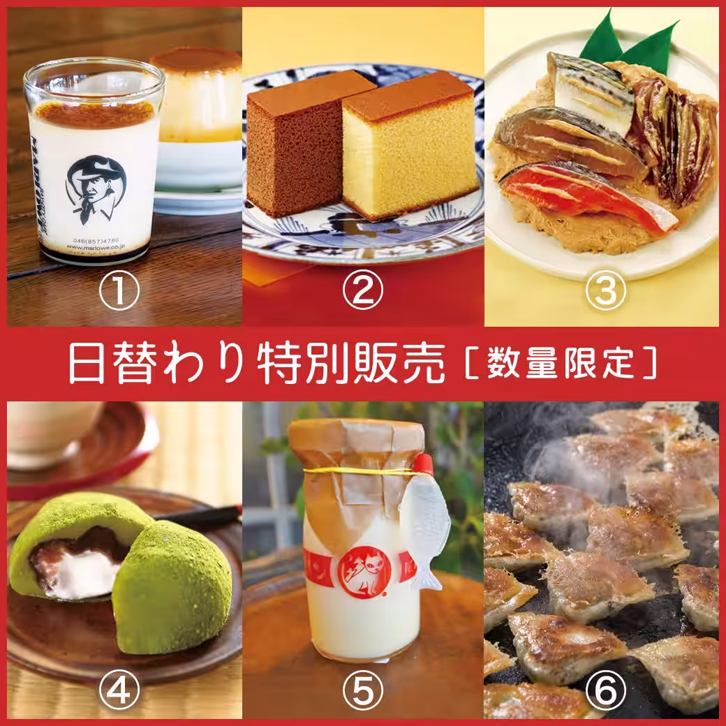 画像8
