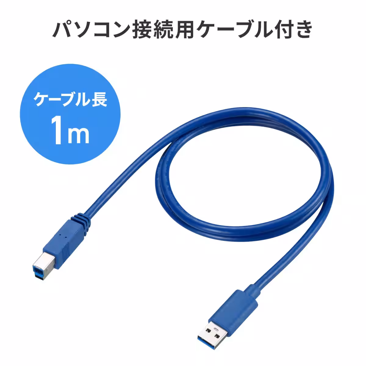 画像14