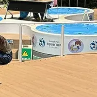 池袋の特別イベント