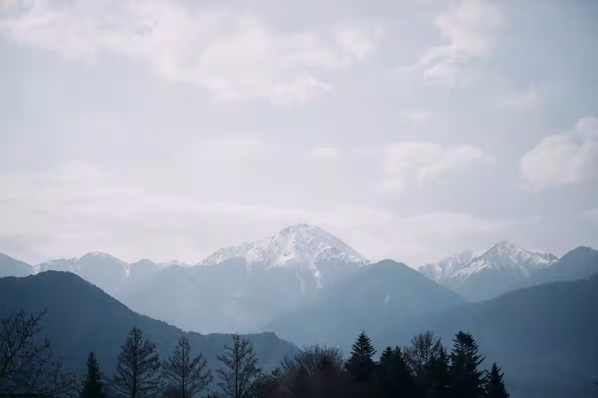 画像14